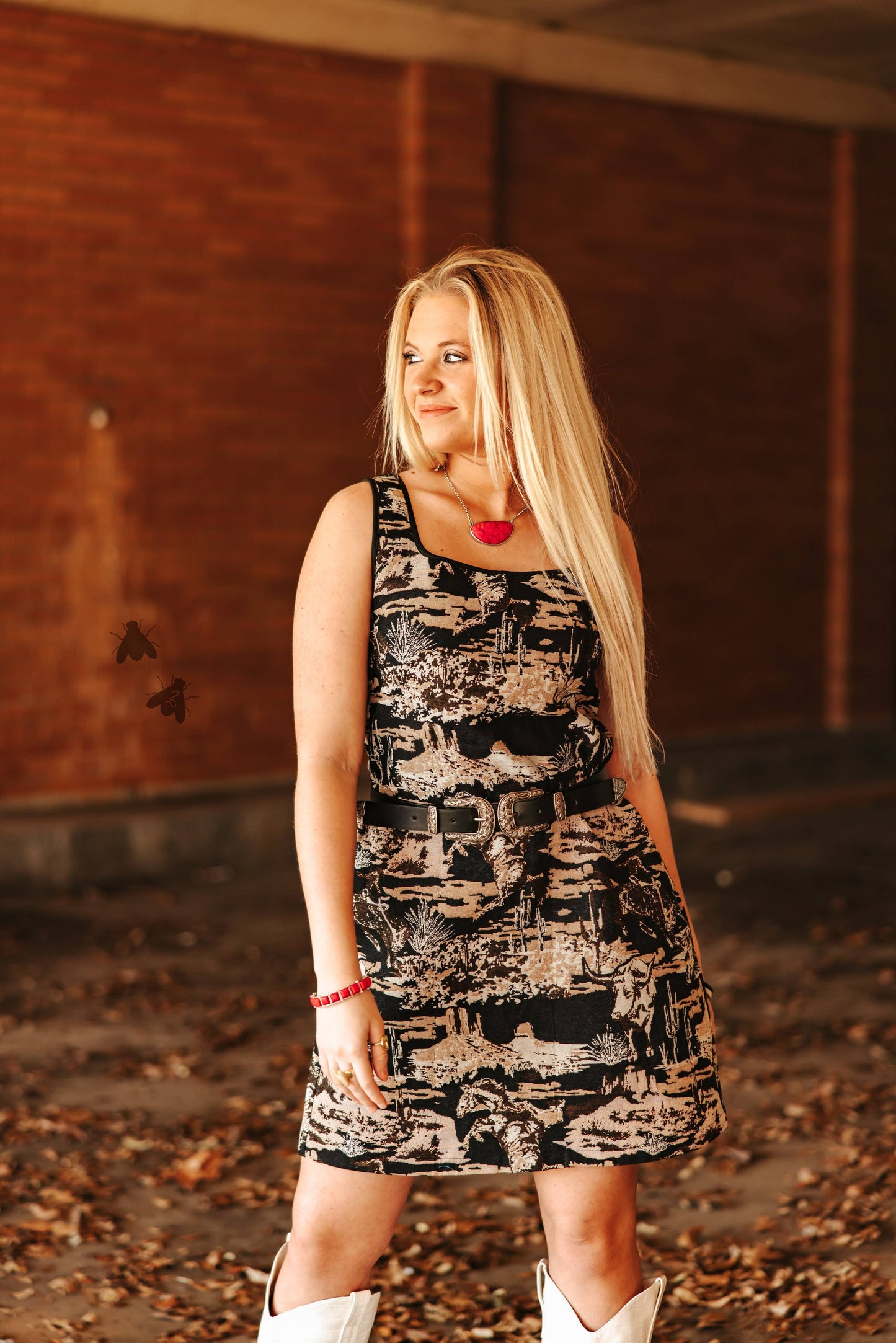 PAINTED DESERT dress